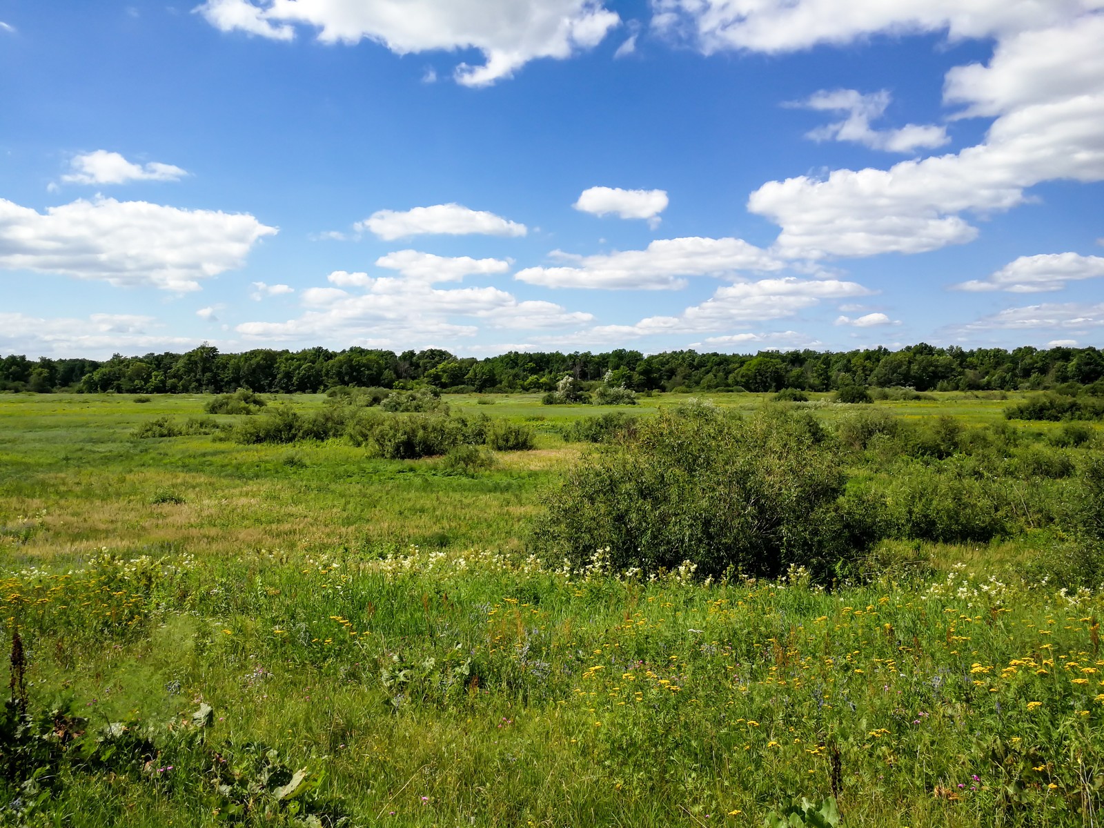 Photo bike ride - My, Longpost, Dzerzhinsk, Nature, The photo, Canon, Huawei mate 9, Bike ride