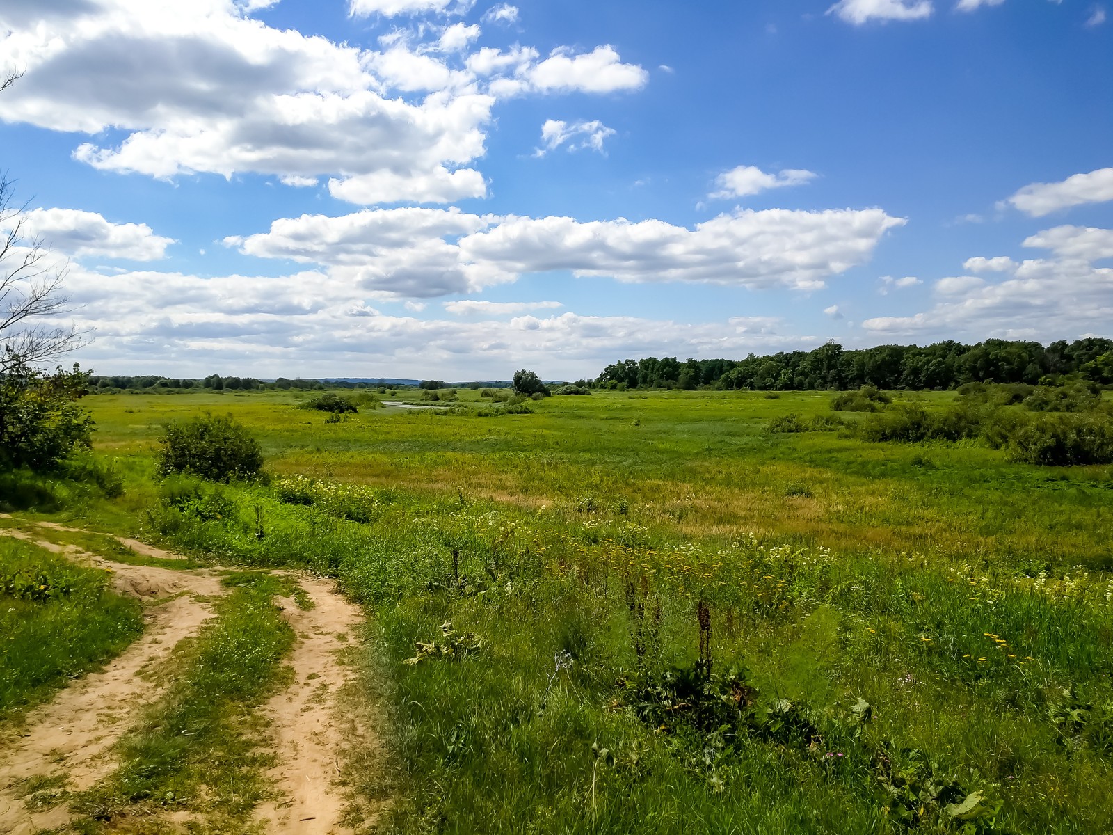 Photo bike ride - My, Longpost, Dzerzhinsk, Nature, The photo, Canon, Huawei mate 9, Bike ride