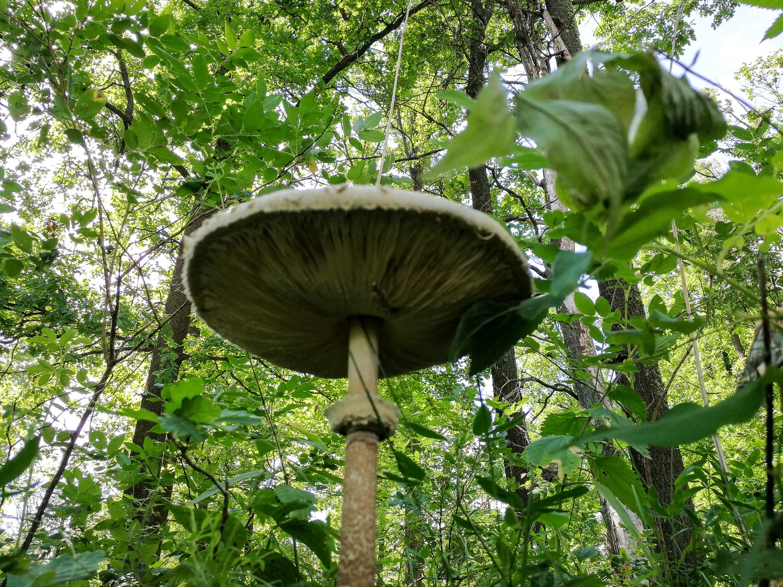 Photo bike ride - My, Longpost, Dzerzhinsk, Nature, The photo, Canon, Huawei mate 9, Bike ride