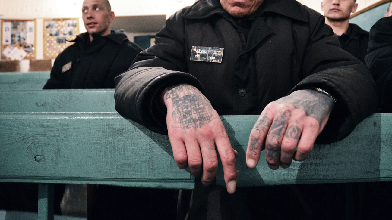 Human rights activists propose to pay 10 million rubles to a prisoner beaten in a Yaroslavl colony - The colony, Prison, FSIN, news, Human rights defenders, Compensation, Yaroslavl