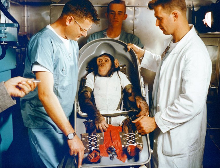 Astronaut Ham - NASA, , Astronaut, Chimpanzee, Longpost