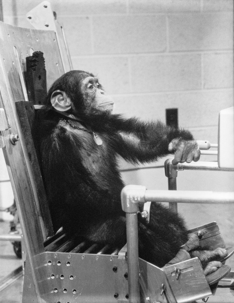 Astronaut Ham - NASA, , Astronaut, Chimpanzee, Longpost