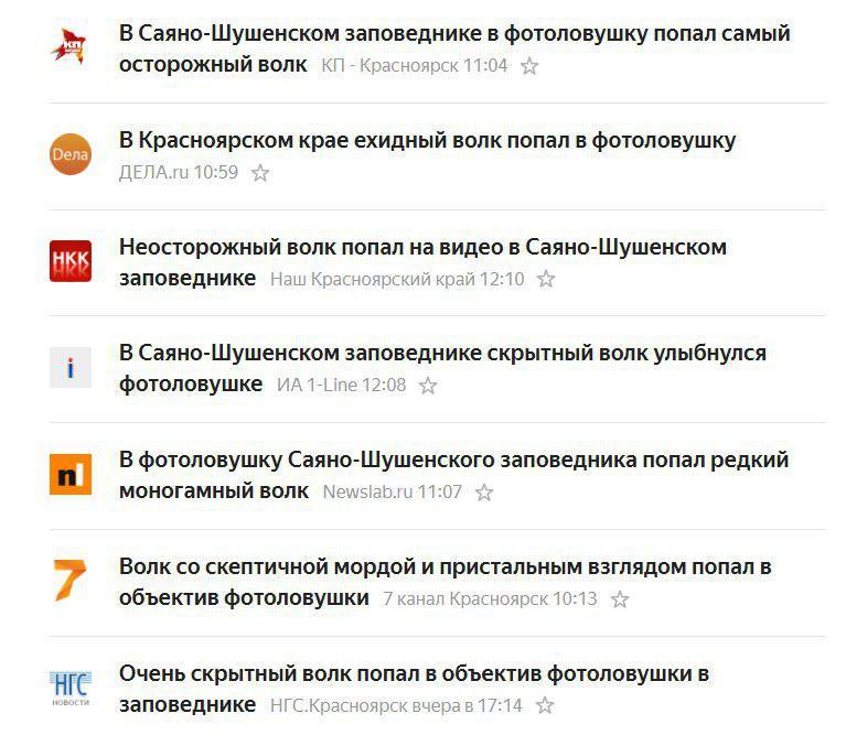 Какой ты волк сегодня? - Волк, Tjournal, Заголовок, СМИ, Заповедник, Скриншот, СМИ и пресса, Заповедники и заказники