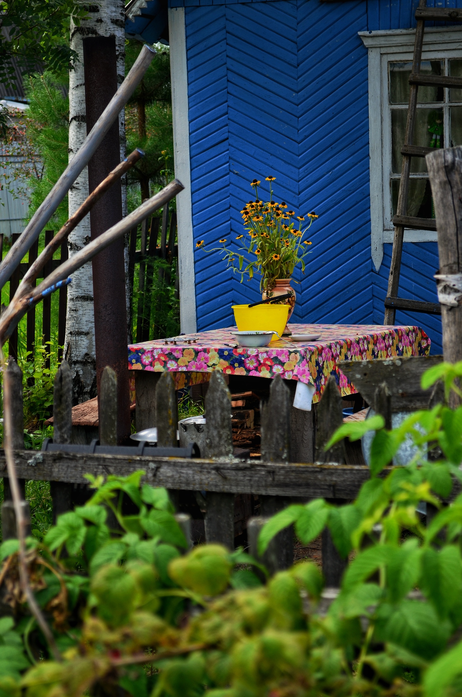 I looked into a random courtyard in the country - My, I want criticism, Beginning photographer, Novosibirsk, Dacha