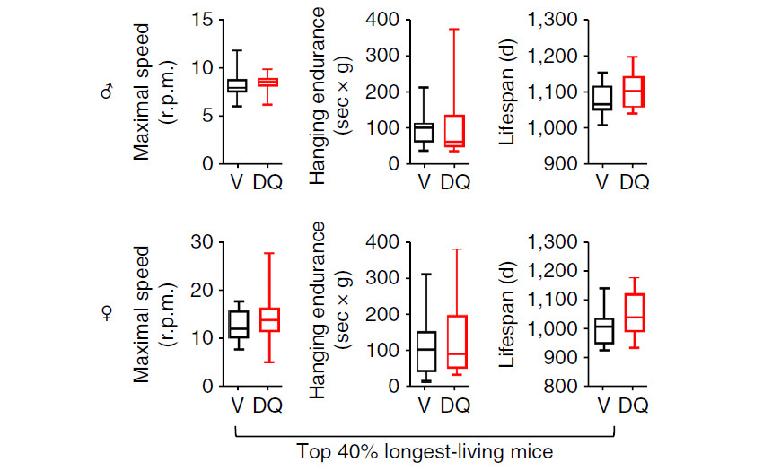 Drugs that destroy old cells have extended the life of mice and are beginning to be tested in humans - The science, The medicine, Aging, Copy-paste, Elementy ru, Longpost