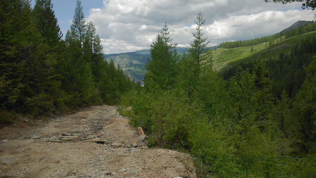 My first light bike trip in Altai. - My, A bike, Novosibirsk, Mountain Altai, Travelers, Longpost, Barnaul, Altai Republic