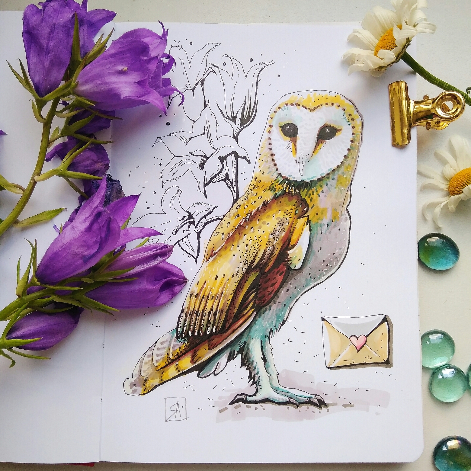 Barn owl. Hoggwarts postal owl. - My, Owl, Barn owl, Hogwarts, Birds, Marker, Drawing, Sketch, Sketchbook, Longpost