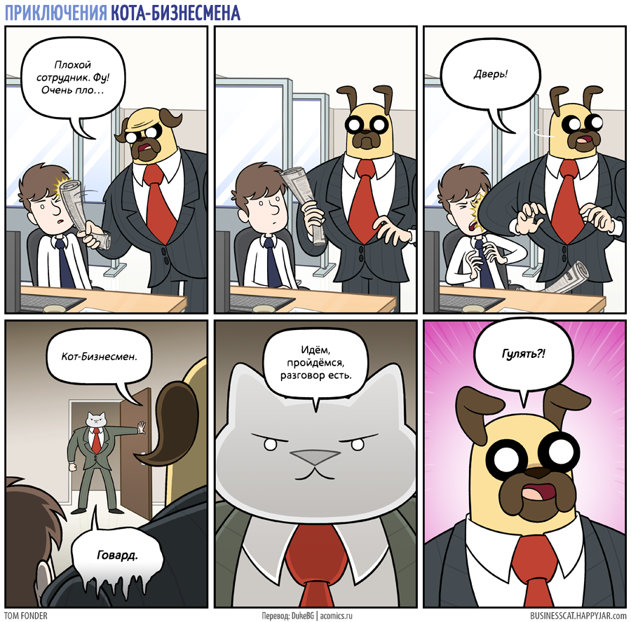 Bad choice of words - Business cat, Comics, Happy jar, Dog, cat, Translation, Duke