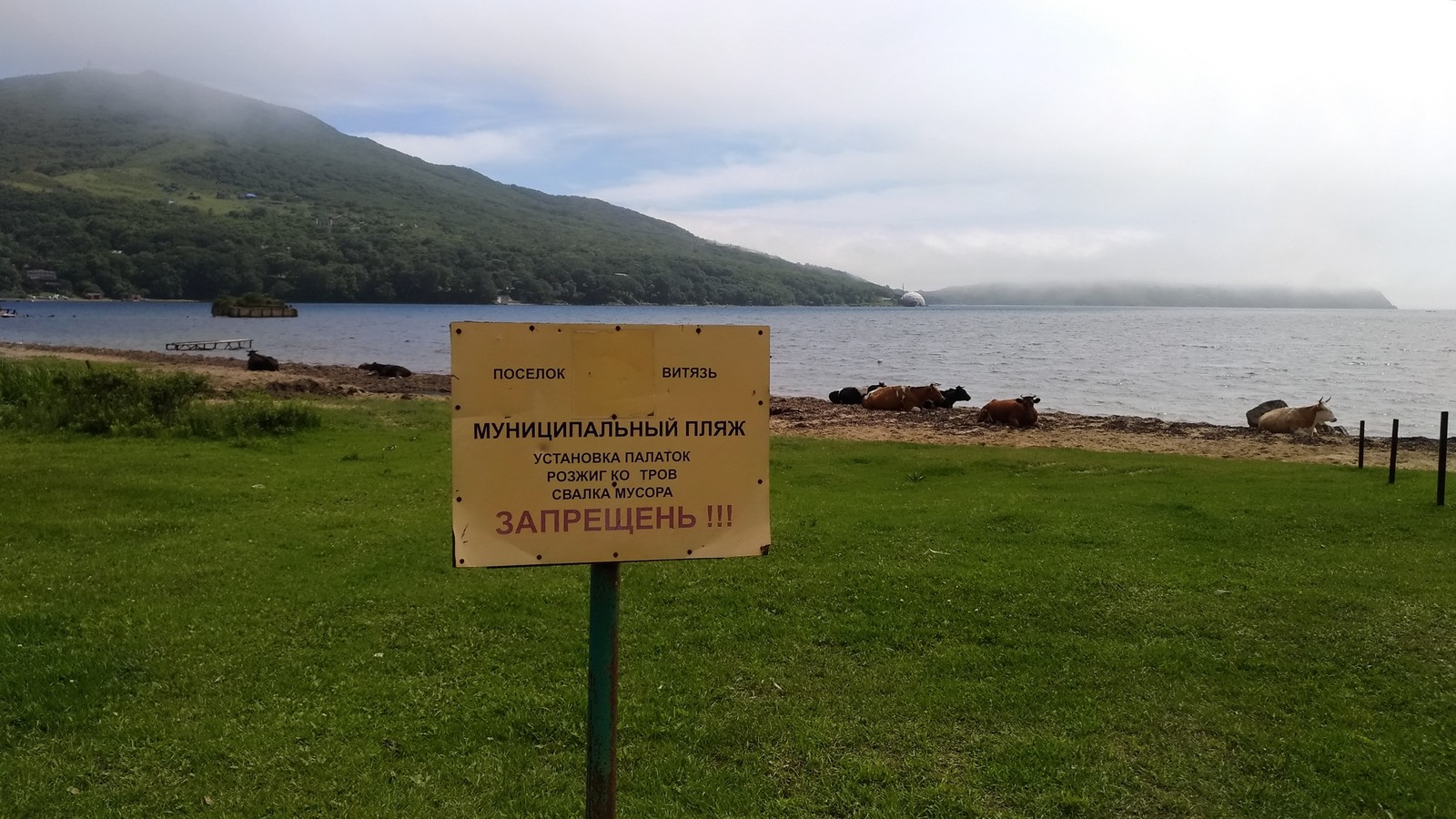 Far Eastern Marine Reserve. Walk along the Bay of Salvation. - My, My, The photo, Sea, Primorsky Krai, Marine Sanctuary, Gulf of Peter the Great, Longpost, Дальний Восток