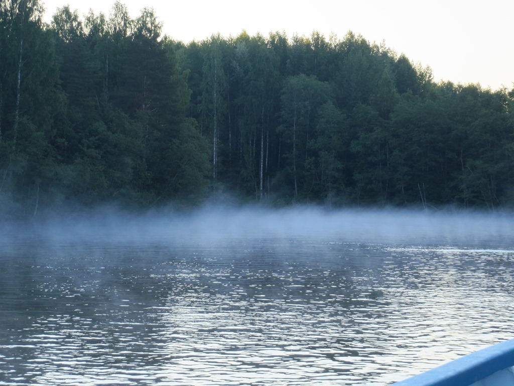 Summer photos on the water. - My, Photographer, Beginning photographer, My, Beach vacation, Nature, Longpost