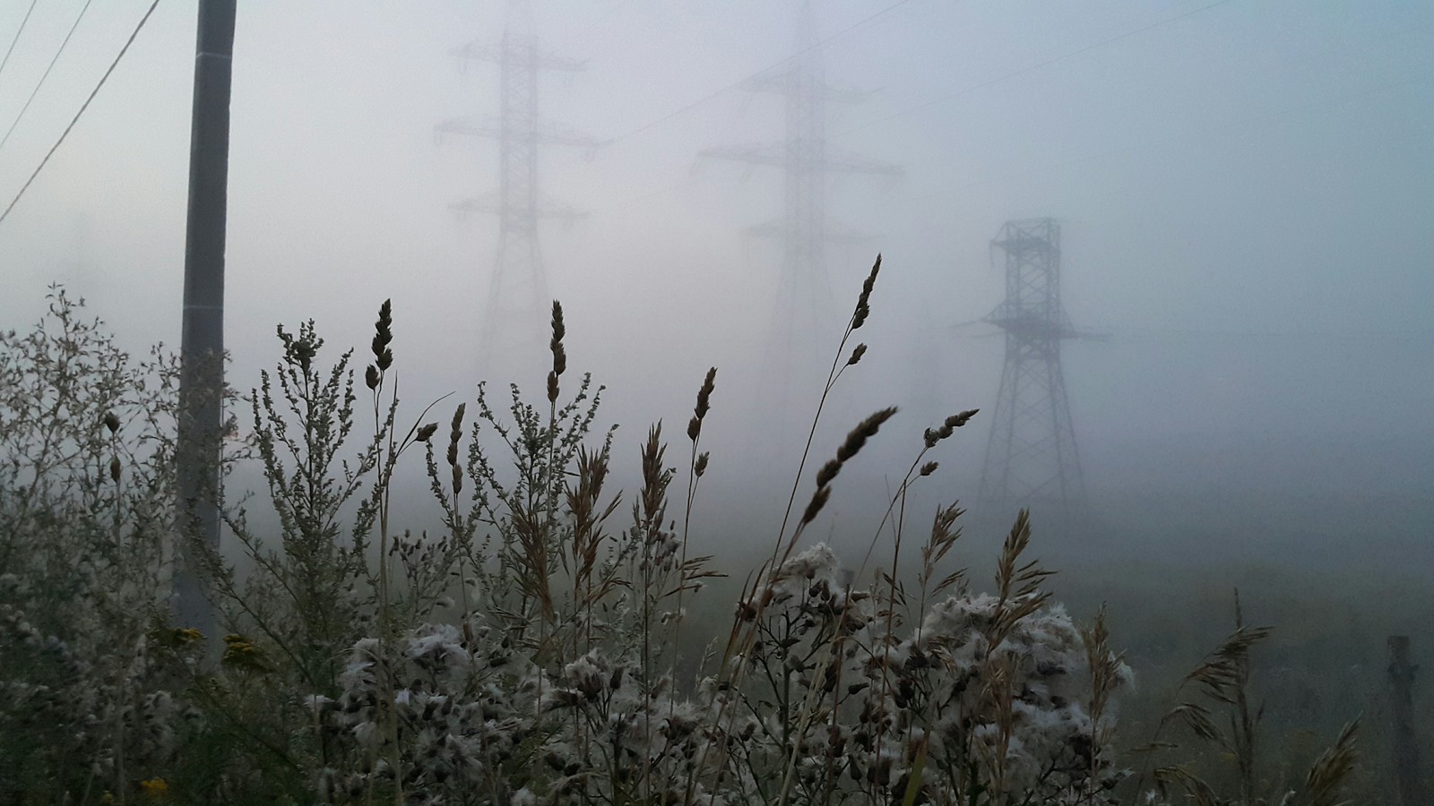 It's fog - Fog, Night, Power lines, Longpost