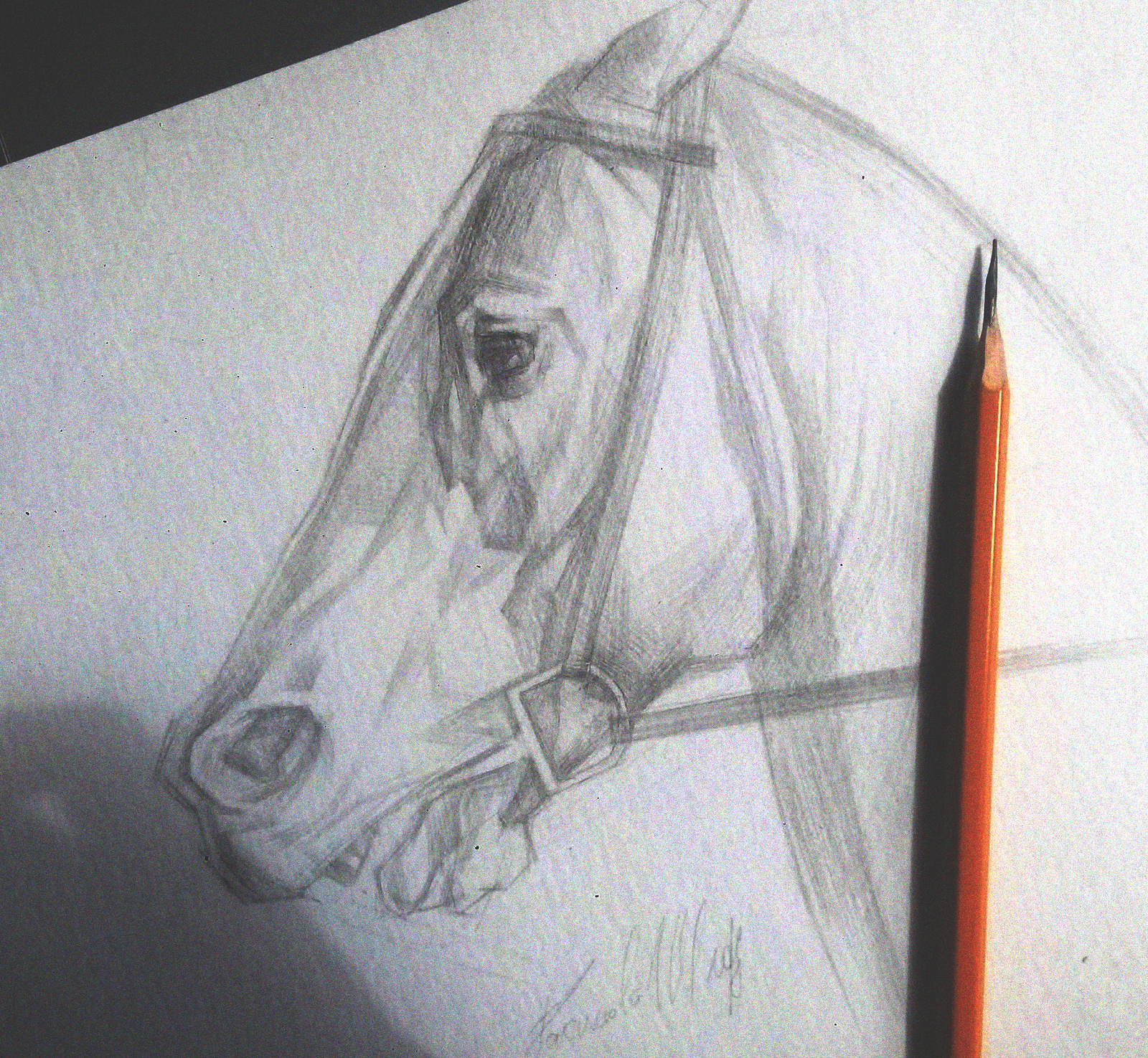 23:00 at night, the sketch must be. - My, , Horses, Sketch, Painting