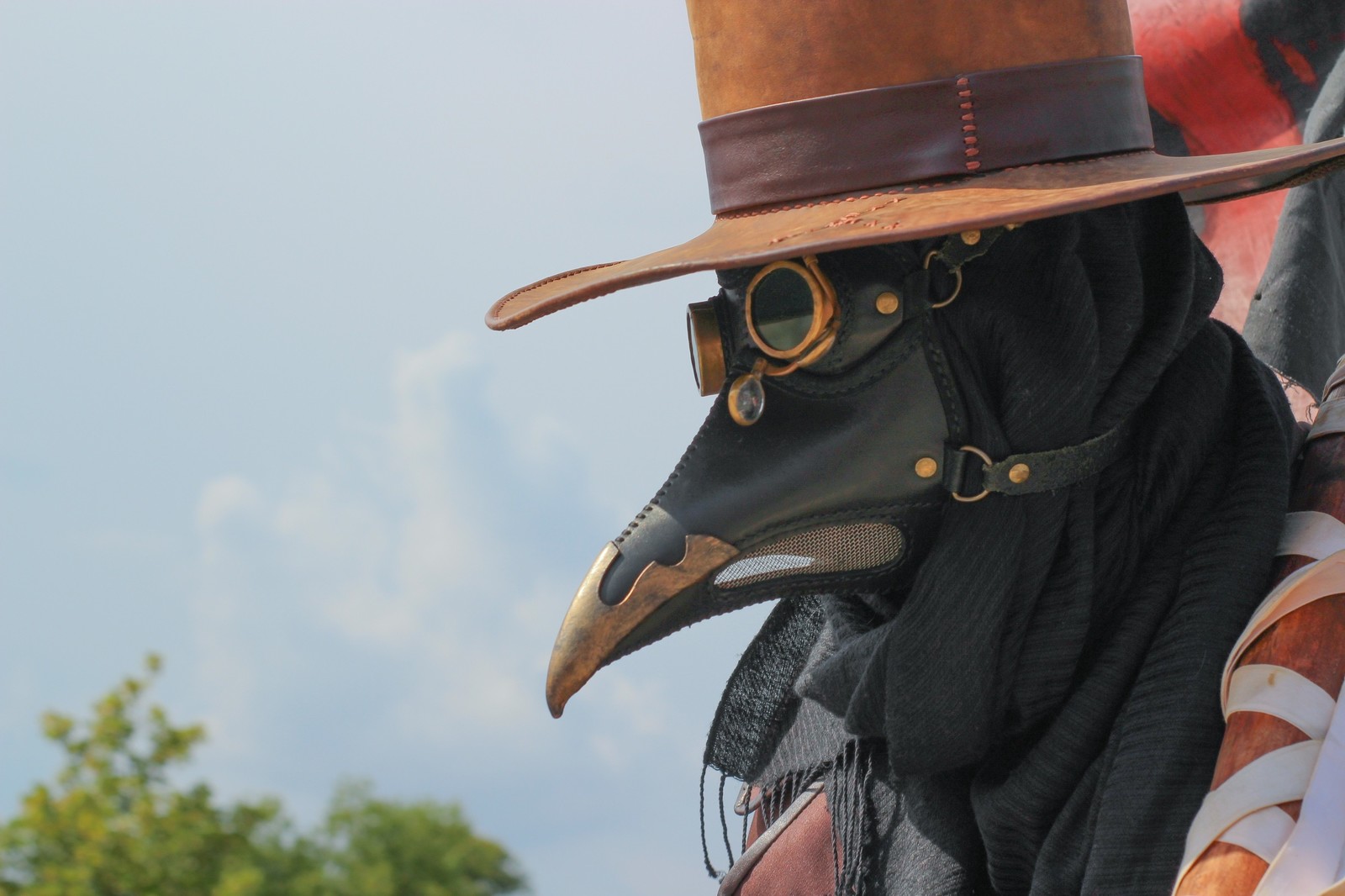 Plague Doctor - My, Plague Doctor, The photo, Longpost, Cosplay, The festival