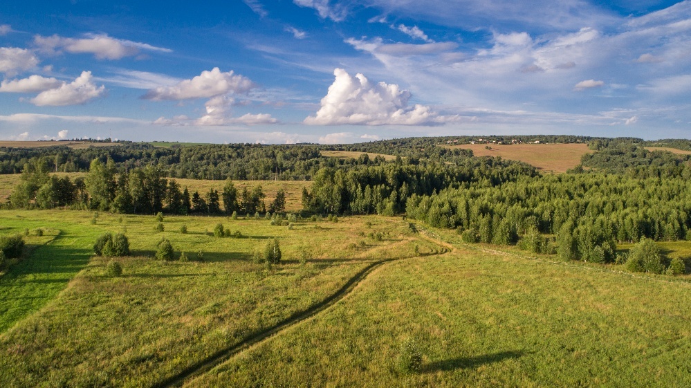 Moscow region. - My, Quadcopter, The photo, Подмосковье, Summer, DJI Phantom