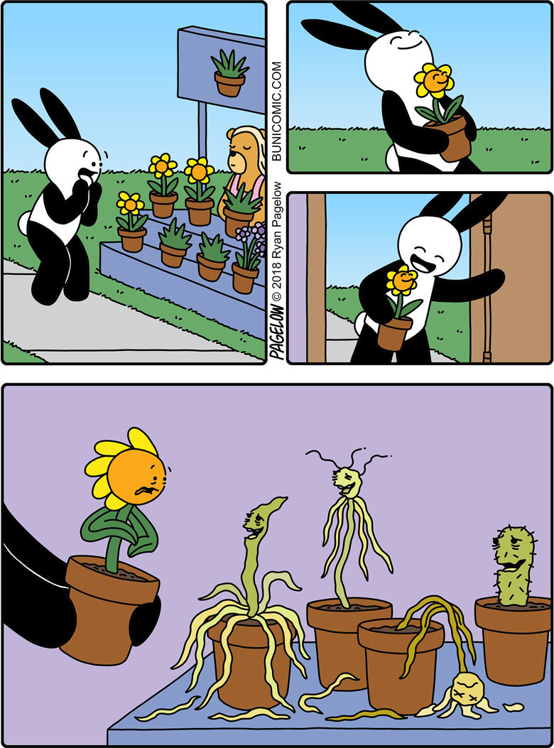 Improper flower care - Buni, Pagelow, Flowers, , Comics