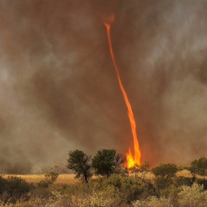 Fire tornado in California. - Element, Fire, Tornado, Longpost, It was possible, Repeat