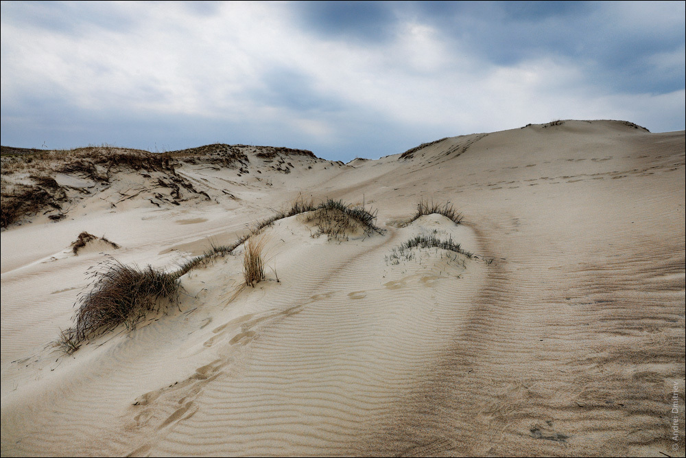 Photowalk: Nida, Lithuania - My, Photobritish, Travels, The photo, Lithuania, Nida, Curonian Spit, Sea, Dunes, Longpost