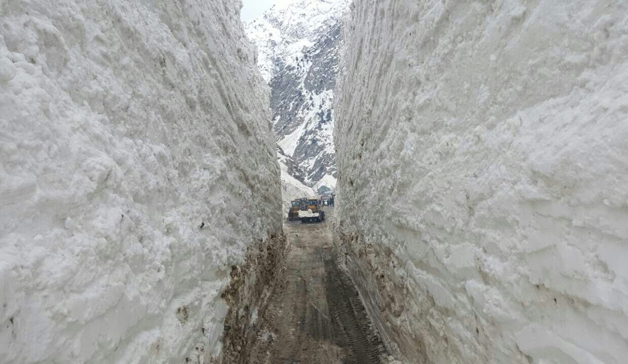 Опубликовал фото - Моё, Реклама, Пост, Длиннопост