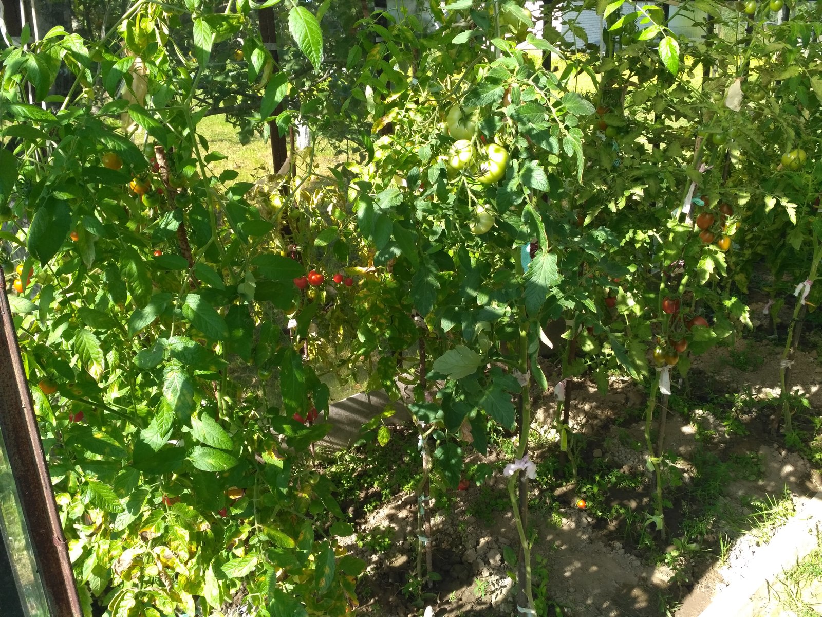 Мне слишком тесно взаперти... | Пикабу