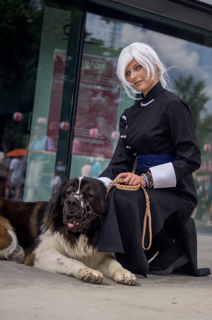 Walks in Gorky Park (J-fest) - My, Dog, Moskovskaya storozhevaya, Cosplay, , Neet, Spiderman, Longpost