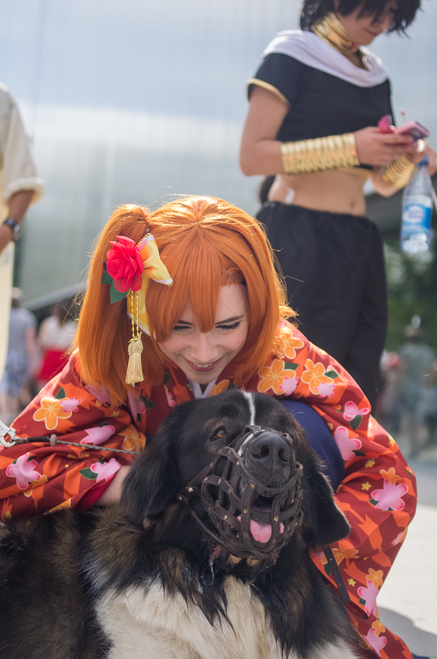 Walks in Gorky Park (J-fest) - My, Dog, Moskovskaya storozhevaya, Cosplay, , Neet, Spiderman, Longpost