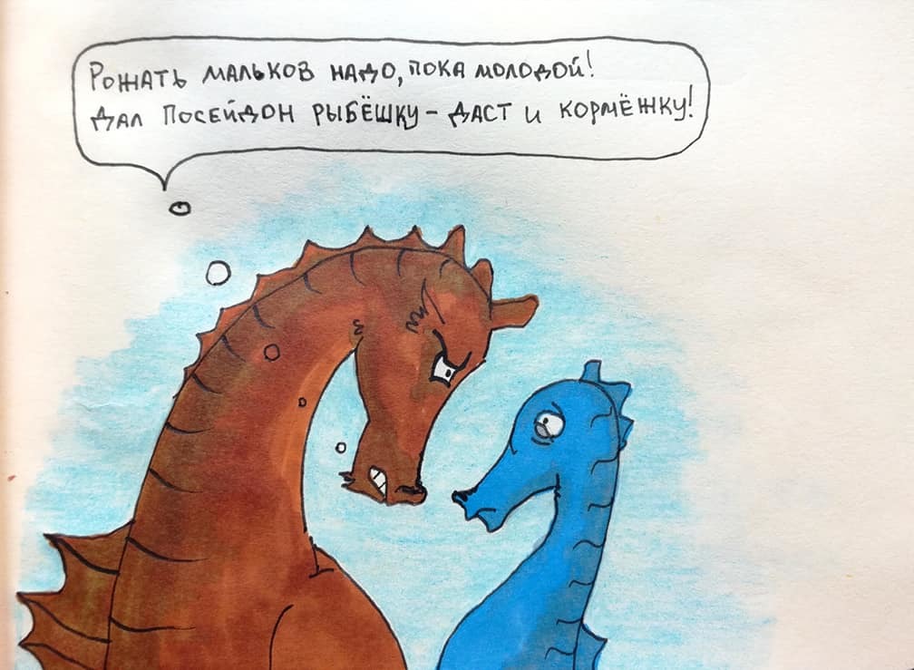 Somewhere in the world of seahorses - My, Sea Horse, Children, Comics, Longpost