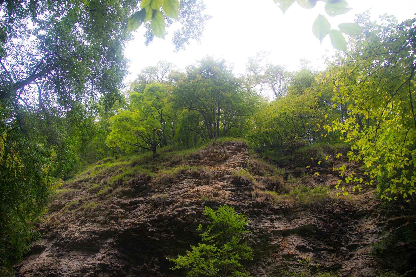 Nature of the Krasnodar Territory. Rufabgo waterfalls. - My, Nature, The mountains, Waterfall, Relaxation, Summer, Краснодарский Край, Forest, Longpost, Republic of Adygea