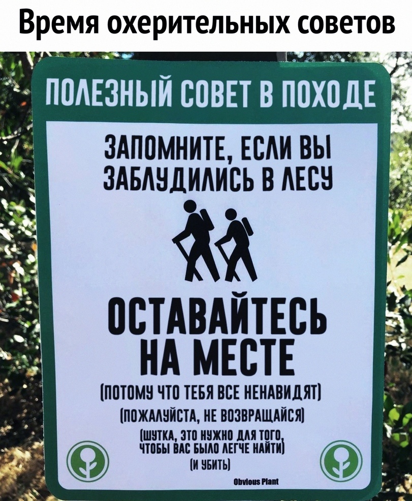 Если вы заблудились в лесу Если вы заблудились в лесу