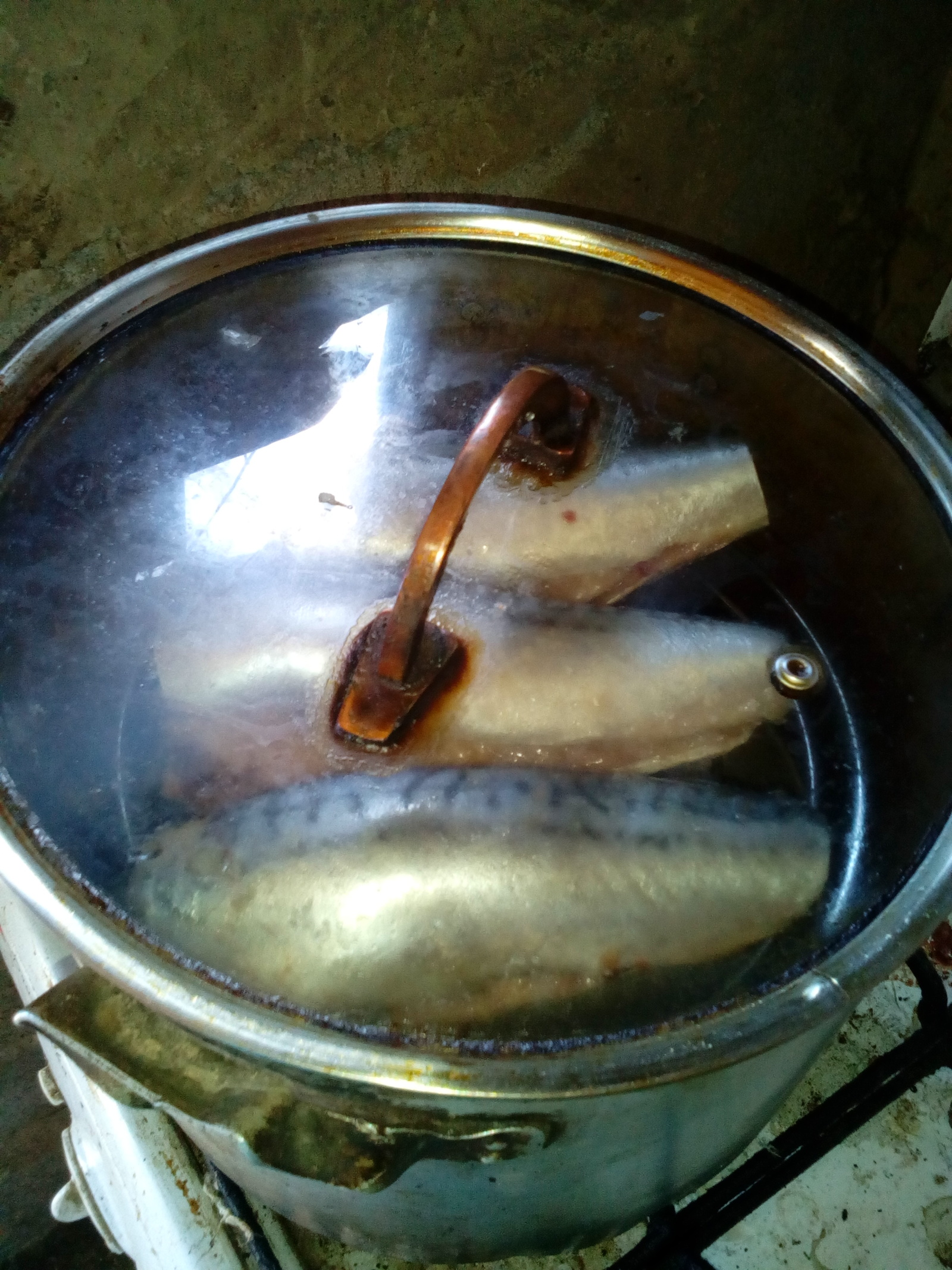 Little hack! - My, Hot smoking, Village, Mackerel, Longpost, Recipe, Smoking