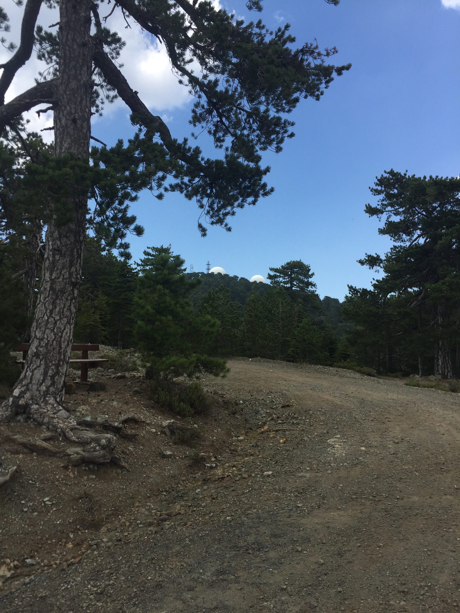 Cypriot dust - My, Travels, Cyprus, Troodos, Olympus, Car rent, , Longpost