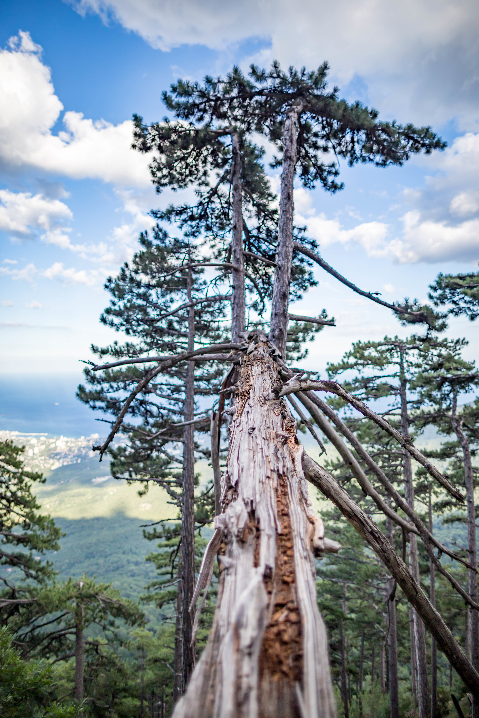 Journey to the Starry Tale on Ai-Petri. - My, Hike, Travels, Tourism, Crimea, Russia, The mountains, Sea, dawn, Longpost