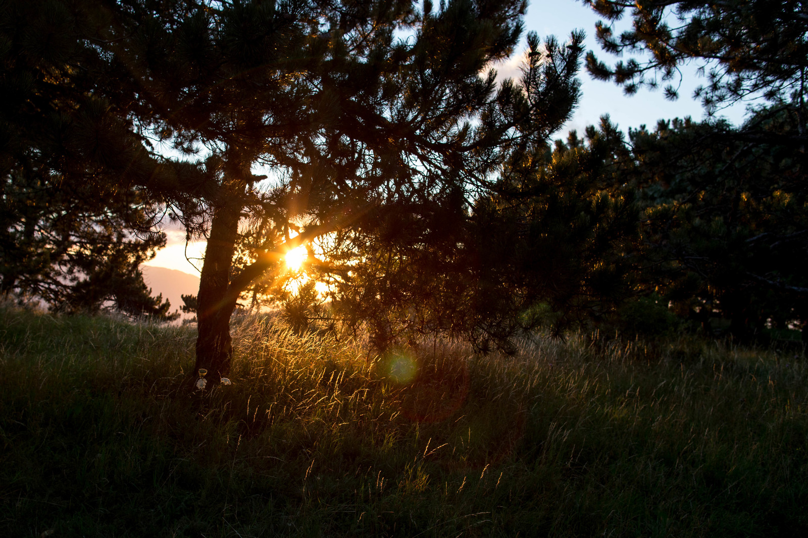 Journey to the Starry Tale on Ai-Petri. - My, Hike, Travels, Tourism, Crimea, Russia, The mountains, Sea, dawn, Longpost