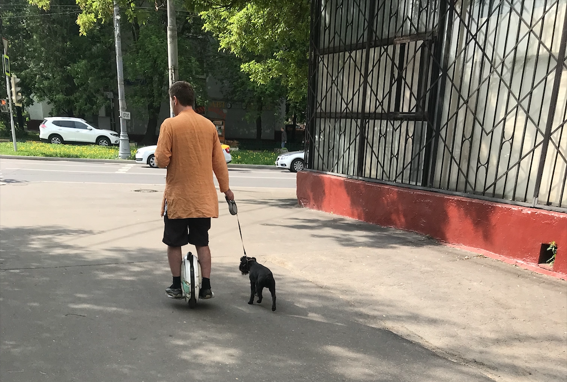 The future is near - My, Walk, Unicycle, Dog