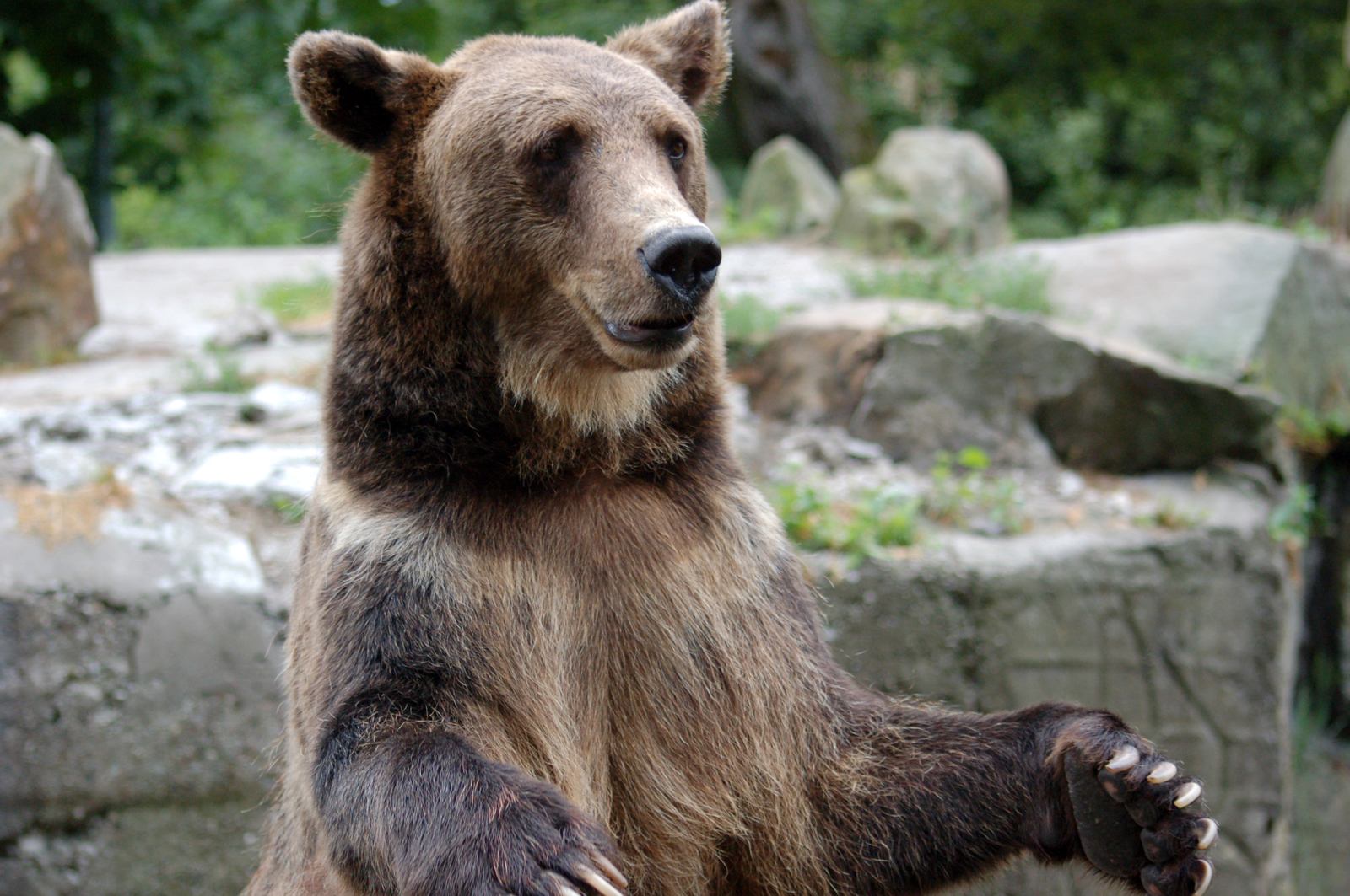 Kaliningrad Zoo - My, Kaliningrad, Zoo, Animals, Longpost