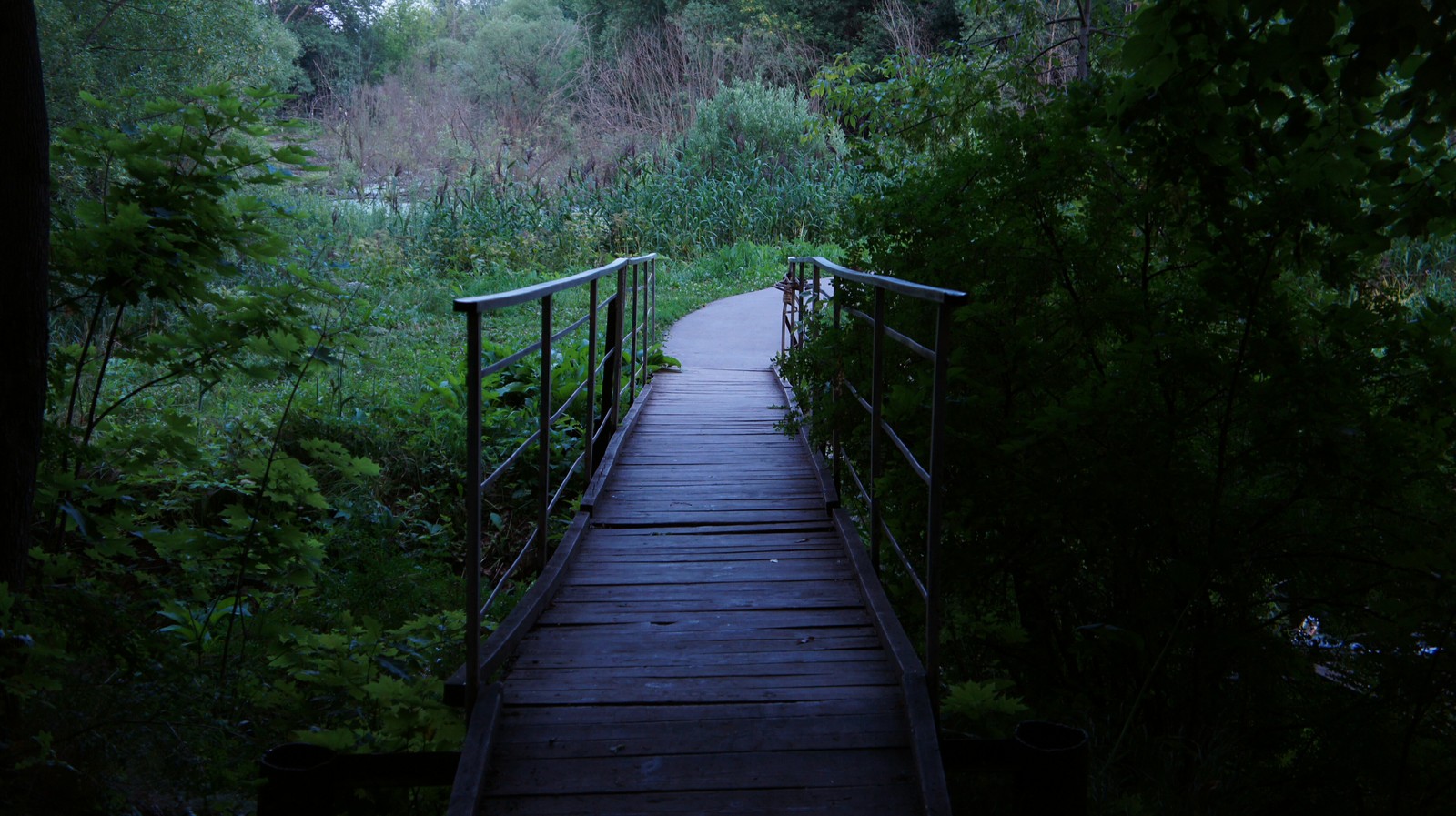 Bridge - My, The photo, Cinema