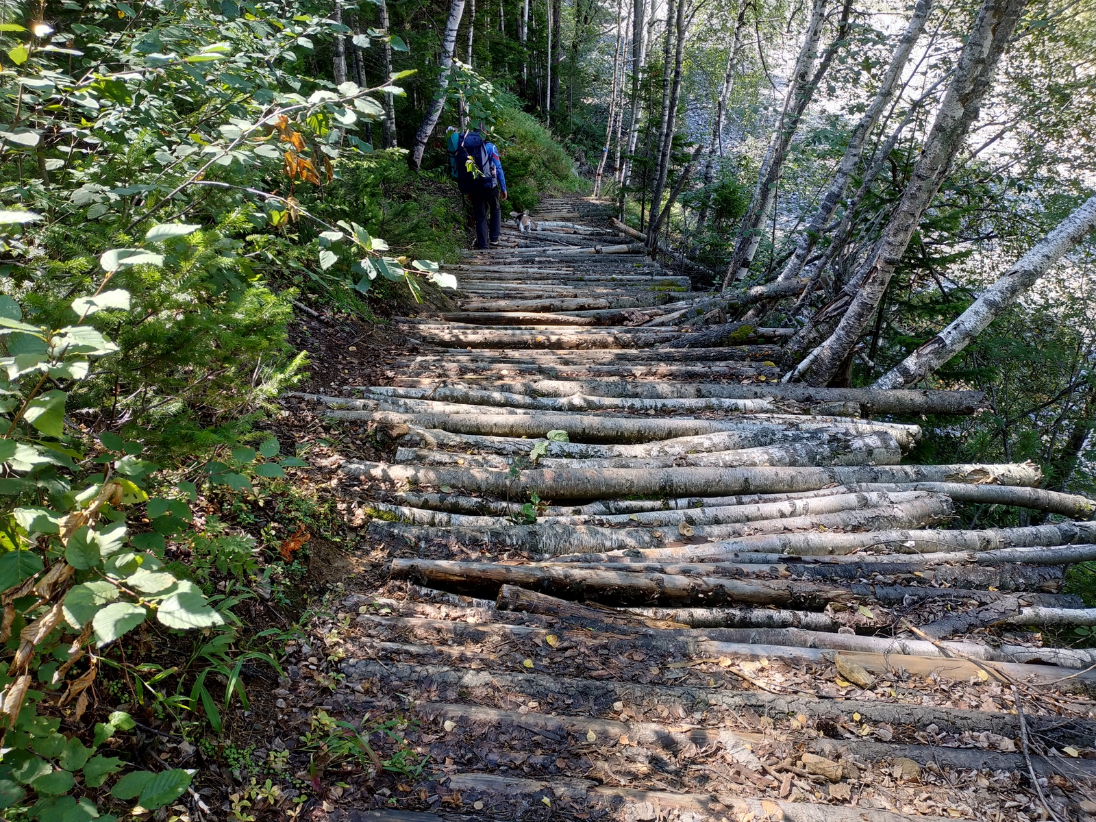 Trekking to Lake Sobolinoye (Republic of Buryatia) - My, Longpost, Lake, Buryatia, , Story, 