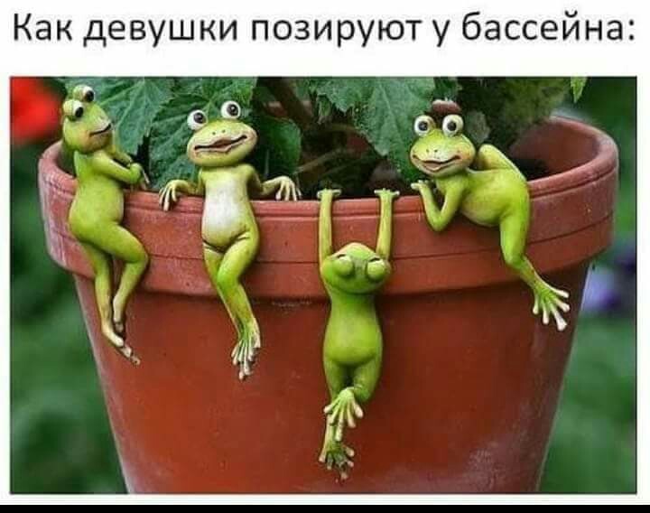 Girls - Girls, Frogs, Picture with text