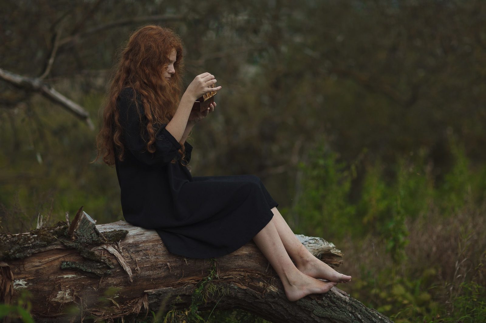 "Перевод с латинского" | Пикабу