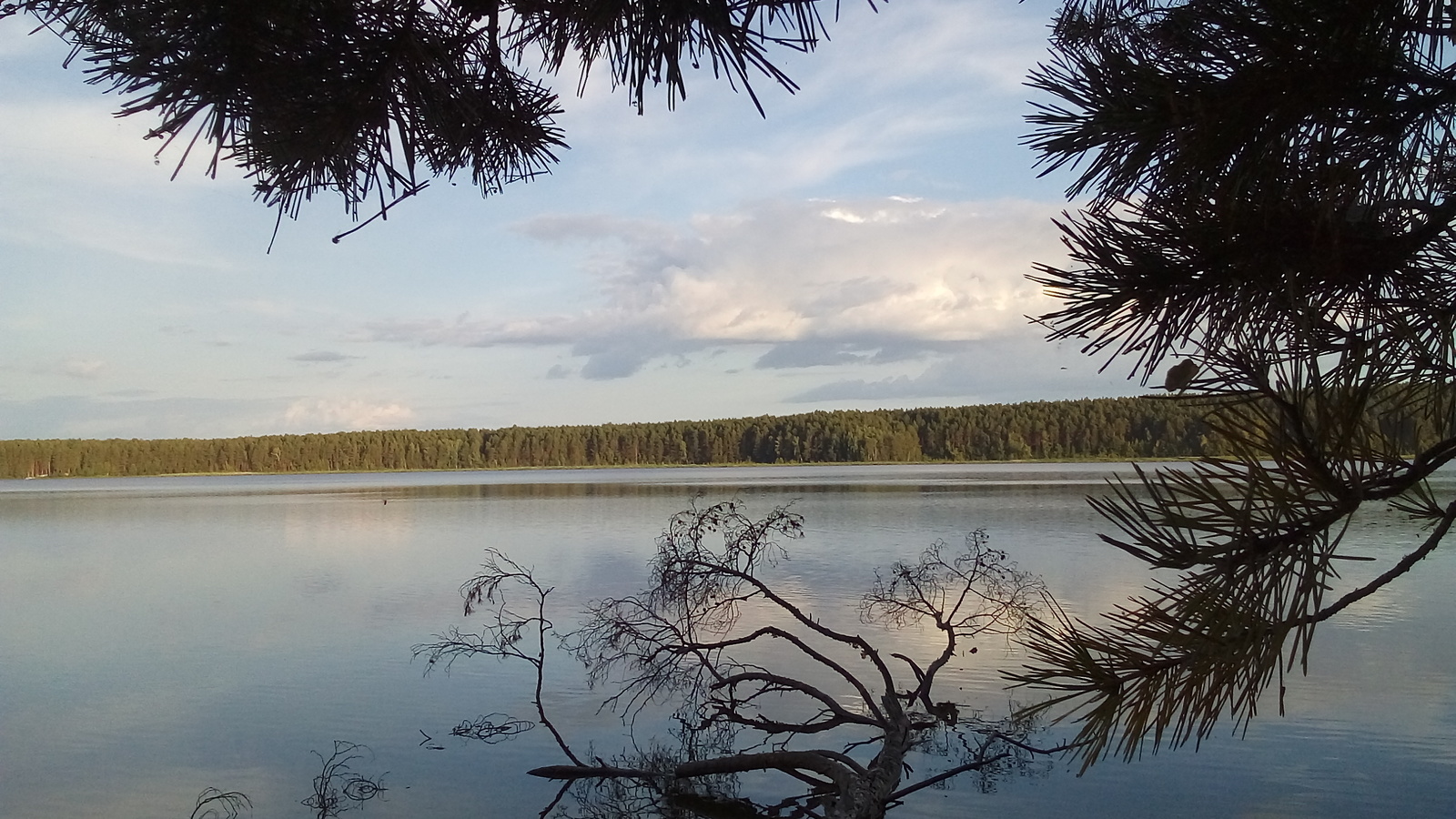 Lake - My, Nature, Sverdlovsk region