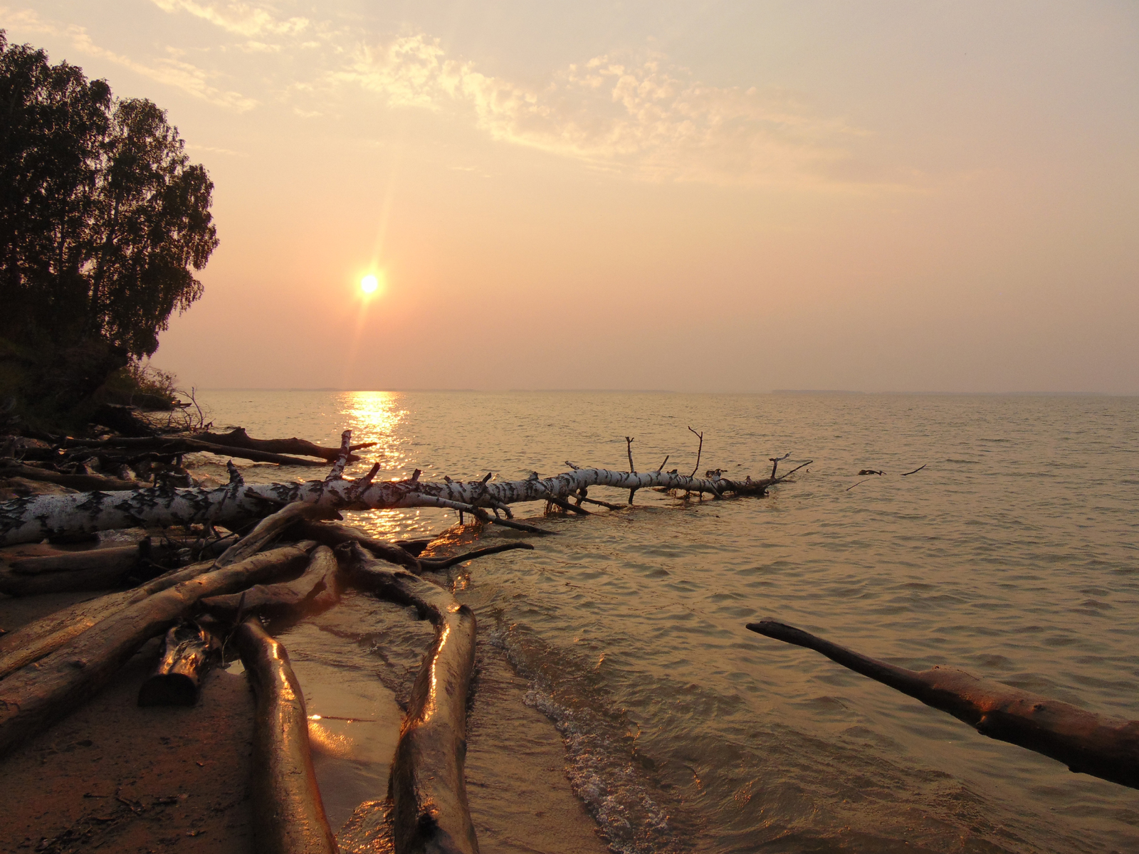 Ob sea - My, The photo, Sunset, Landscape, Ob sea, Novosibirsk region, Longpost