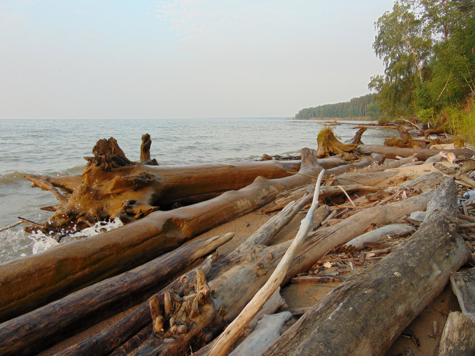 Ob sea - My, The photo, Sunset, Landscape, Ob sea, Novosibirsk region, Longpost