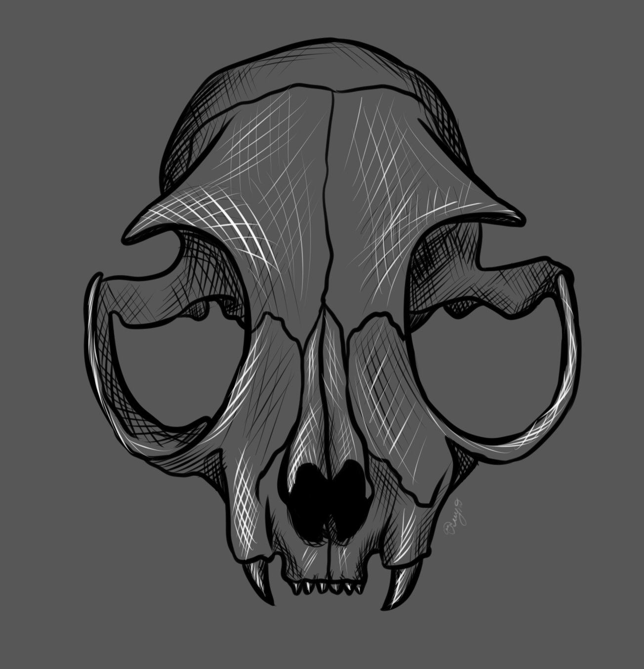 cat skull - My, Drawing, Scull, cat, Digital