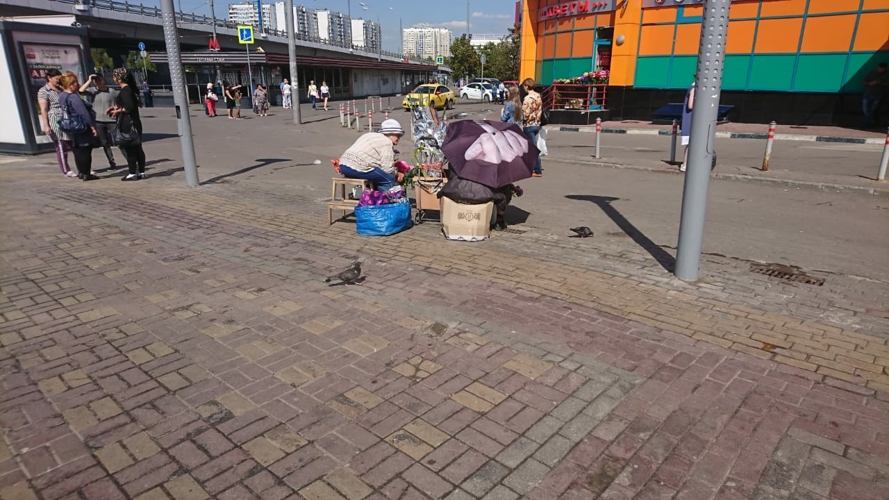 Business on a warm camp - My, Umbrella, Grandmother