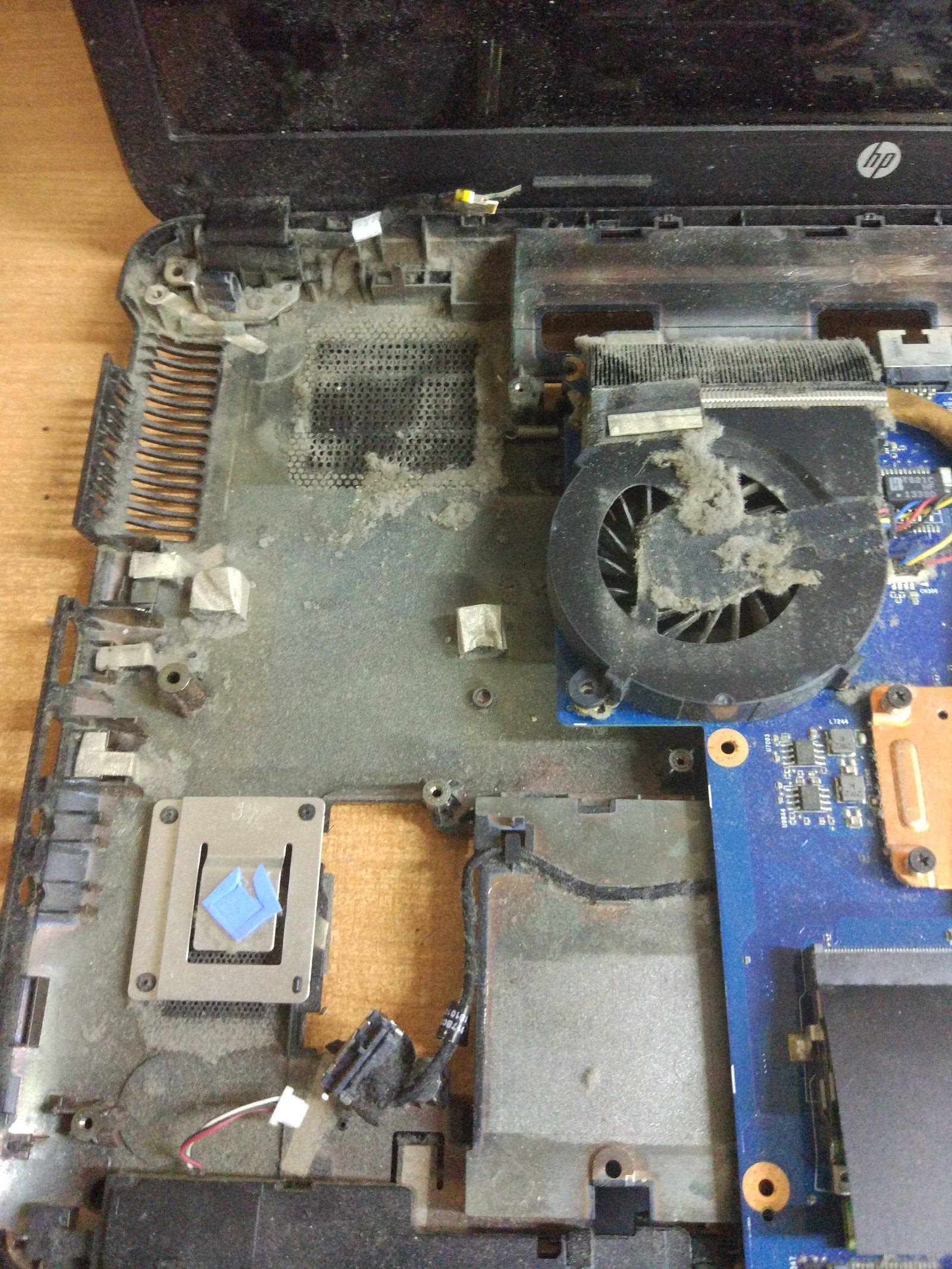 Why do laptops hum - Repair of equipment, Laptop Repair, Dust, Longpost