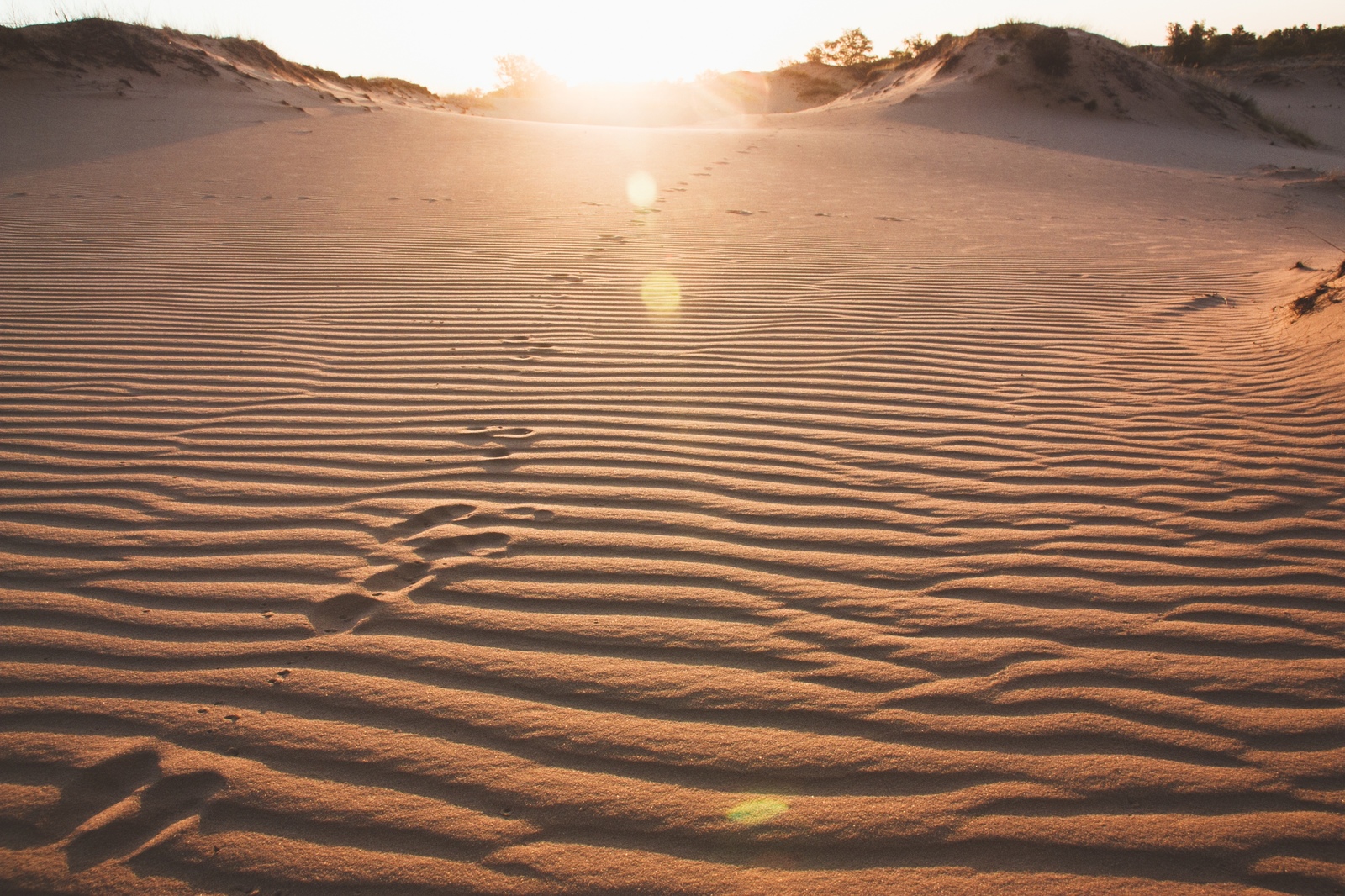 Desert of the Rostov region - My, My, Desert, Nature, Landscape, Photographer, Longpost