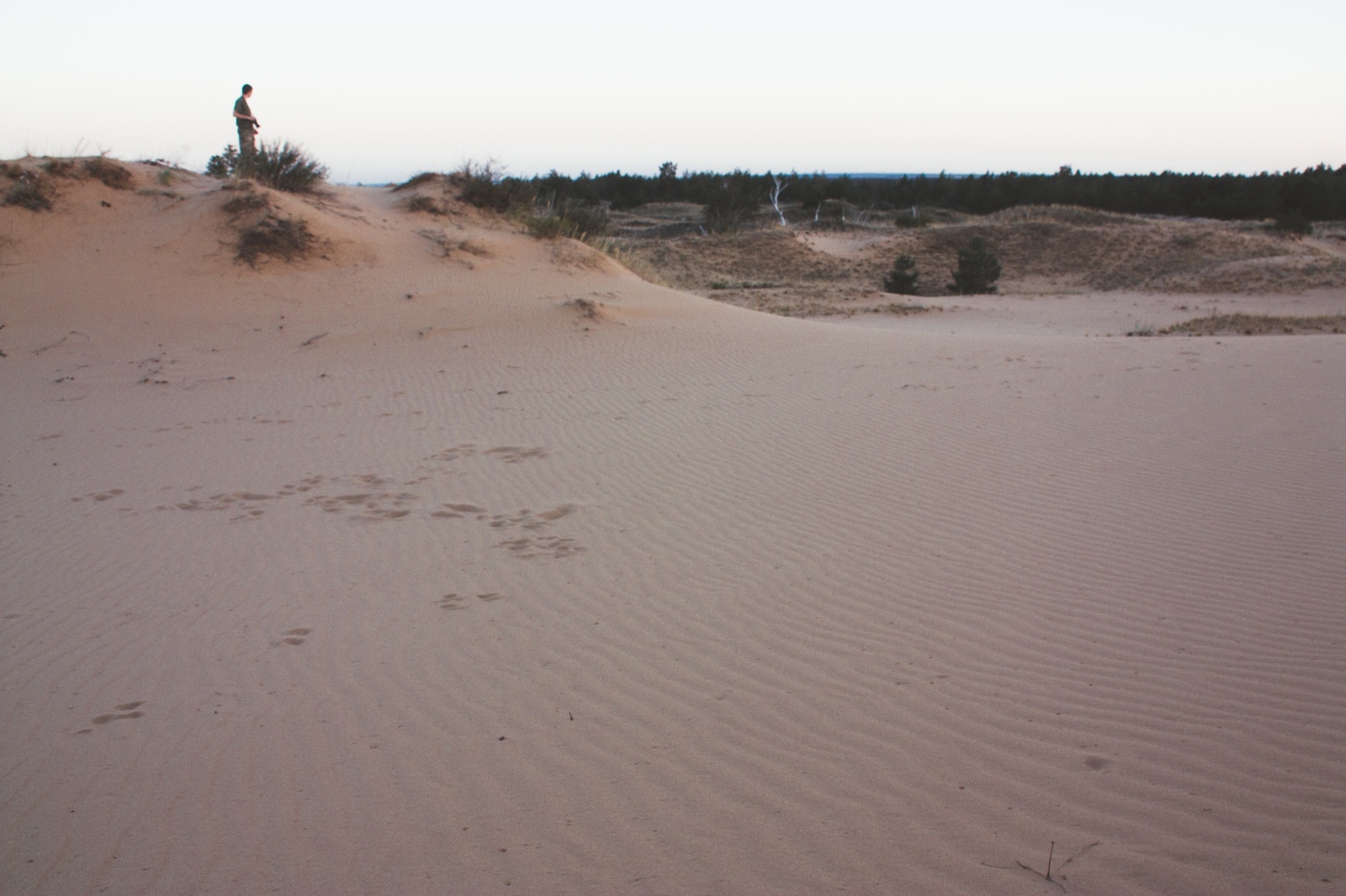 Desert of the Rostov region - My, My, Desert, Nature, Landscape, Photographer, Longpost