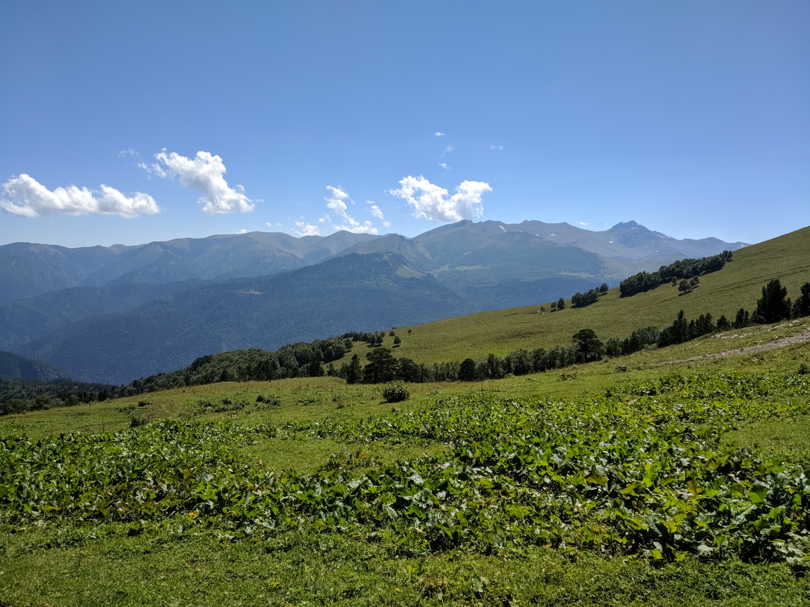 Mountains, North Caucasus, Rozhkao - My, , The mountains, Nature, Karachay-Cherkessia, Tourism, , Longpost