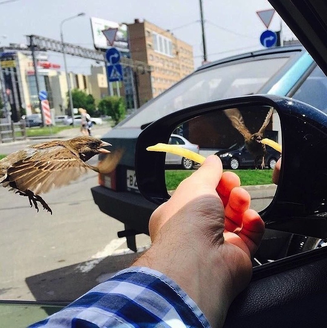 Мальчик и оптический эффект 