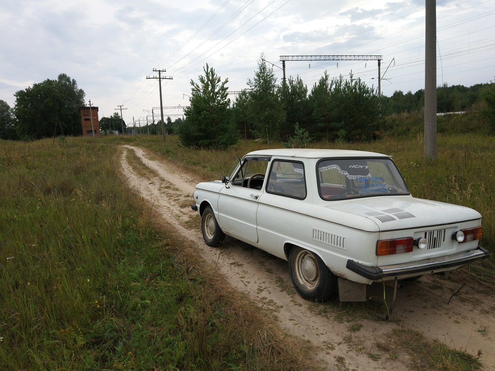 village horse - My, Village, Zaporozhets