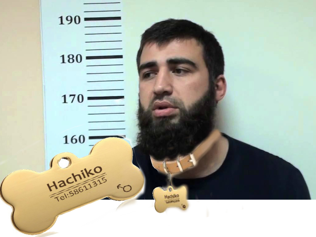 Хатико в шоке | Пикабу